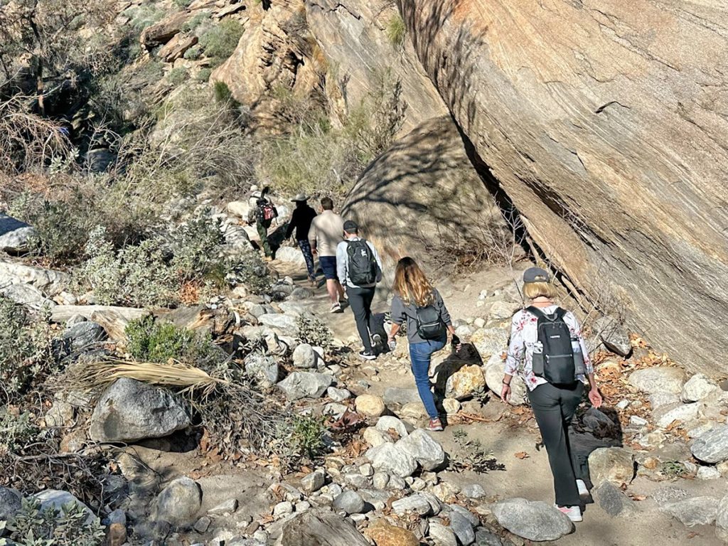 Murray Canyon Trail - 10002